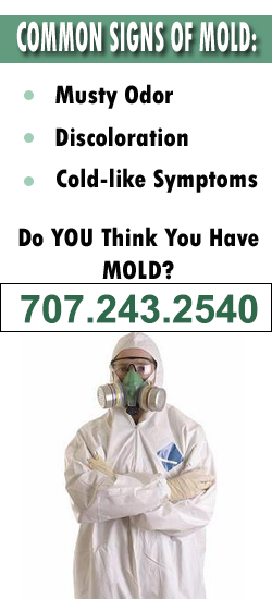 Santa Rosa Mold Remediation Contractor